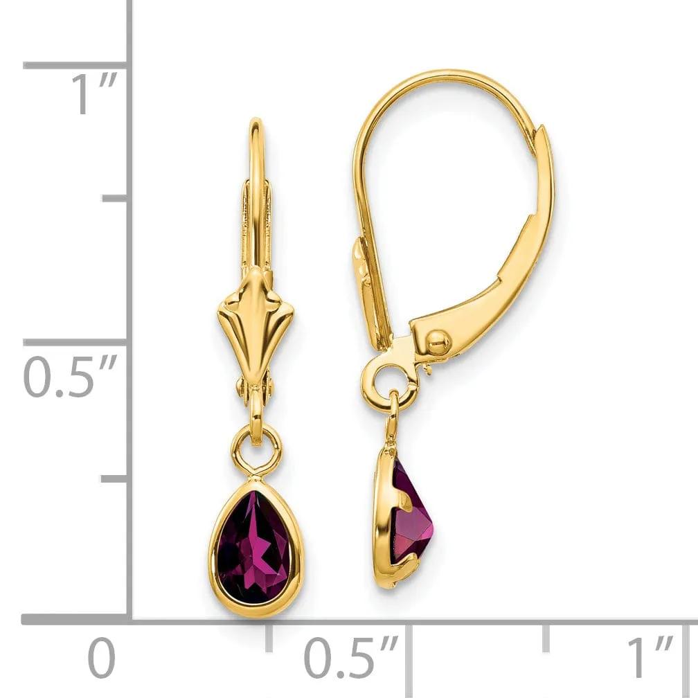 14k Yellow Gold Polished Rhodolite Garnet Earrings