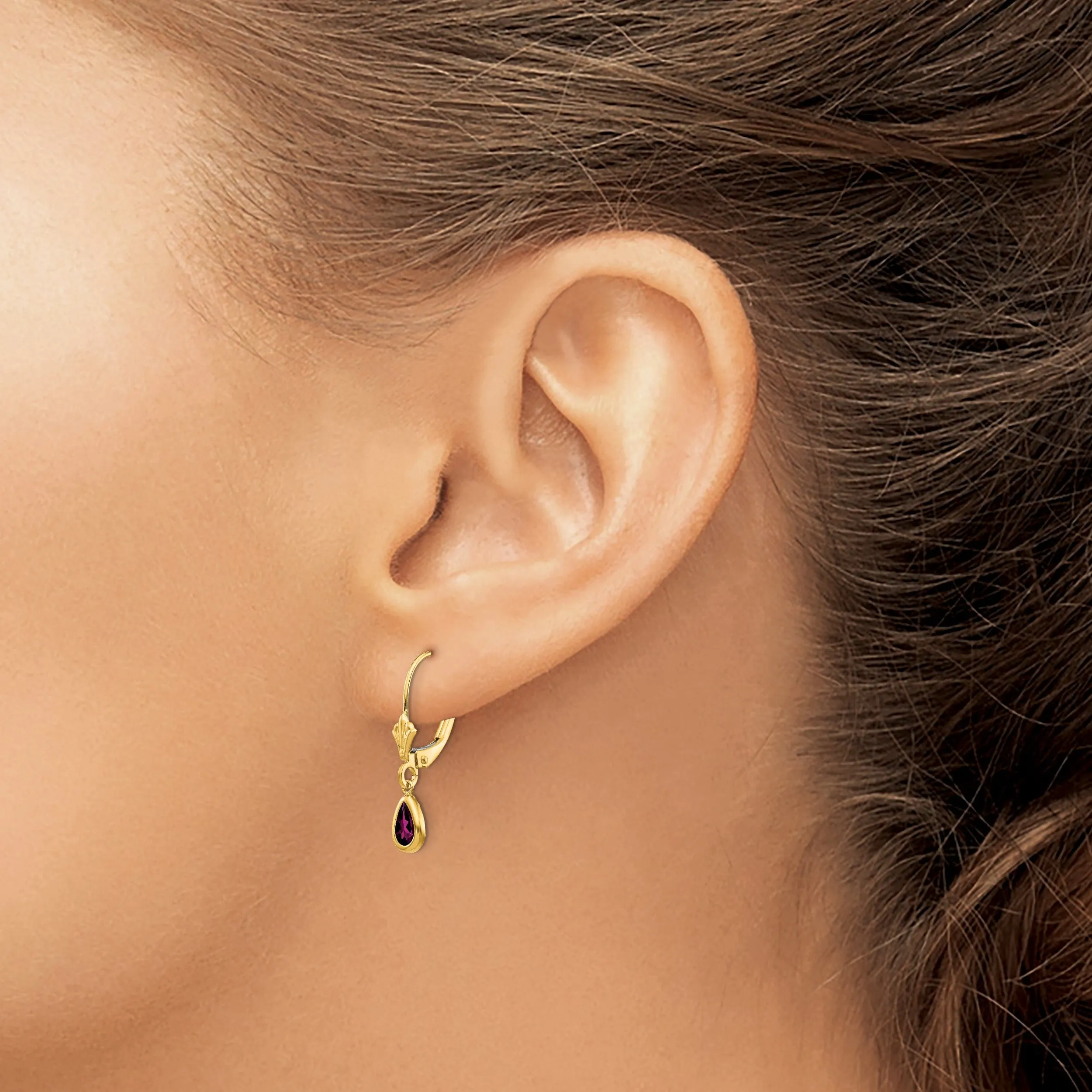 14k Yellow Gold Polished Rhodolite Garnet Earrings