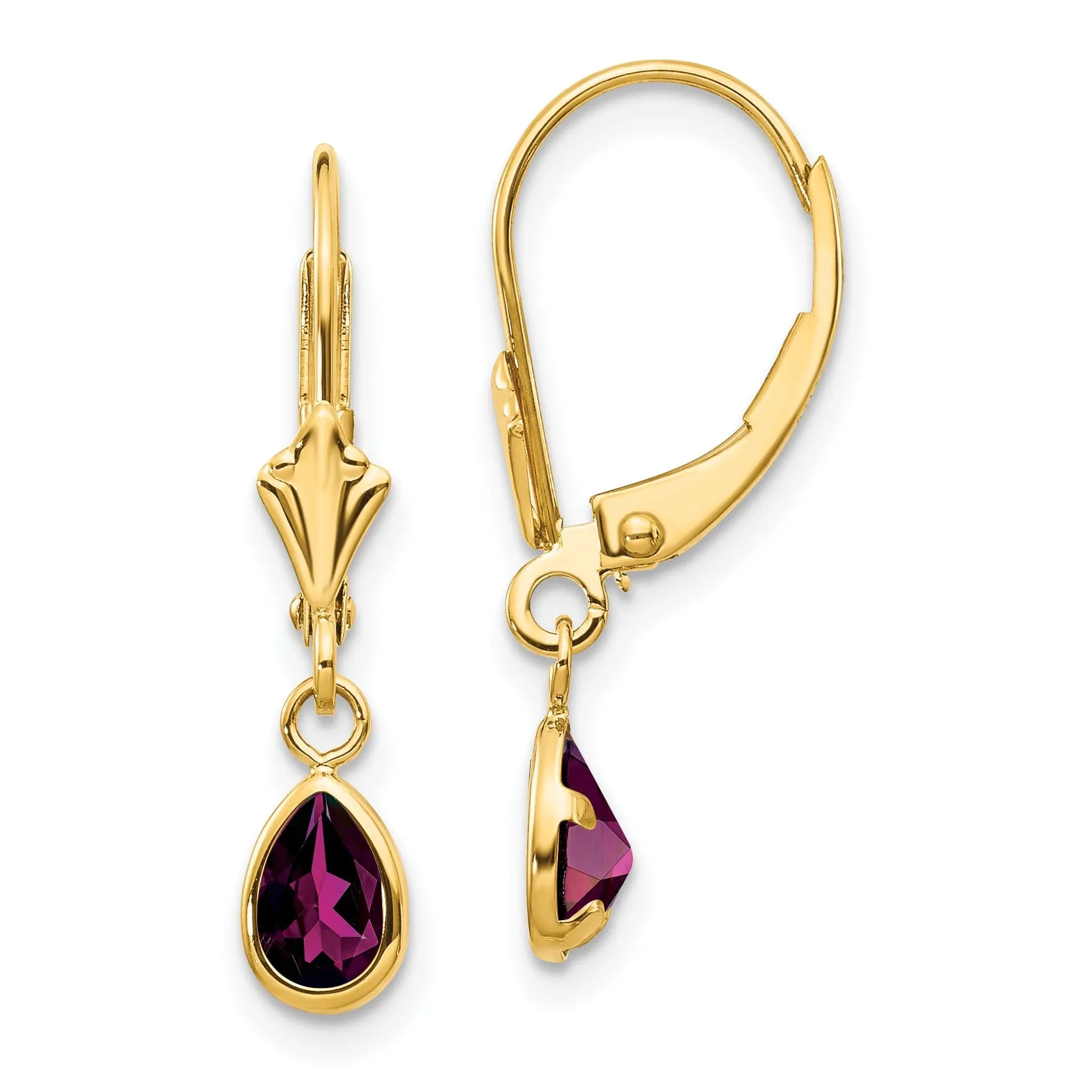 14k Yellow Gold Polished Rhodolite Garnet Earrings