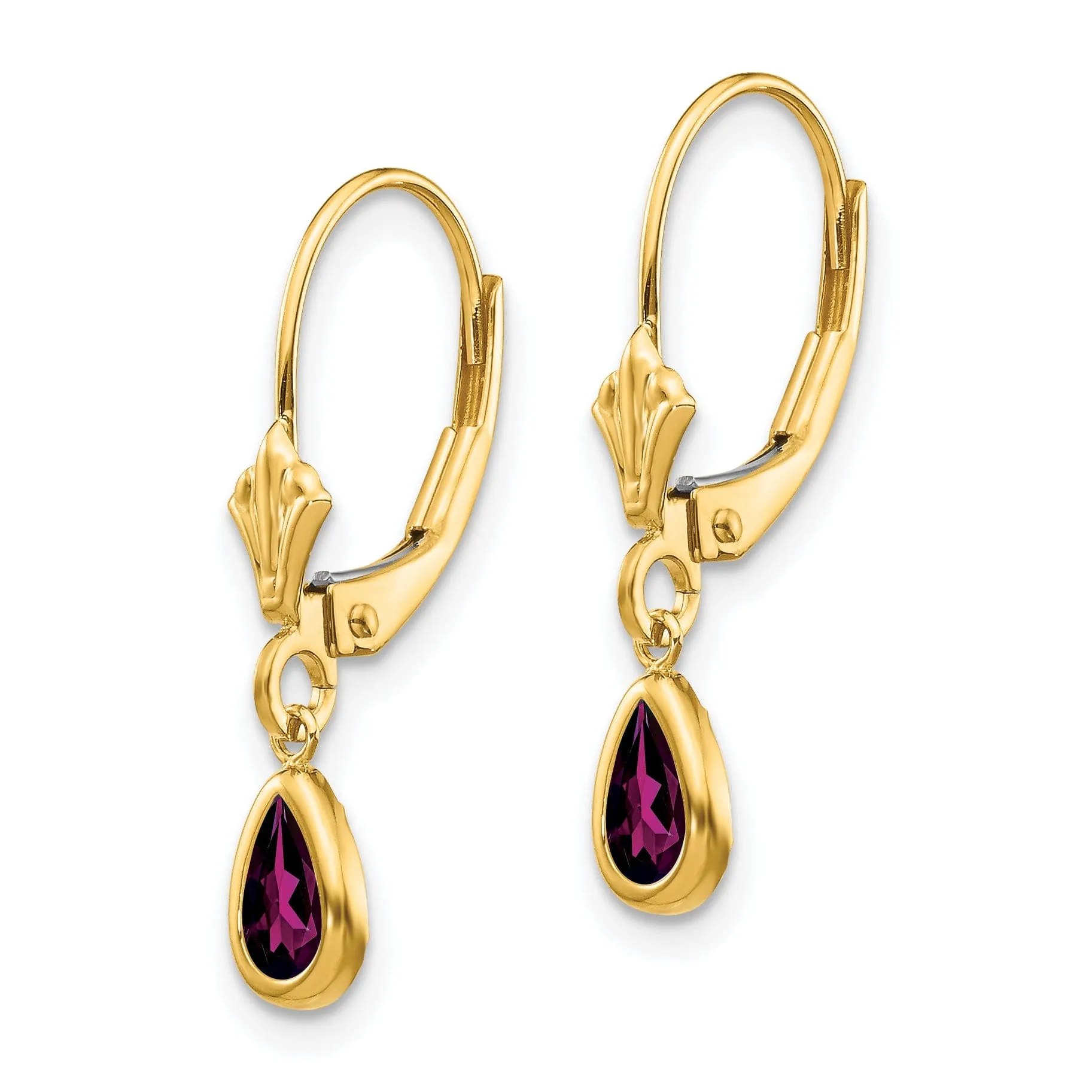 14k Yellow Gold Polished Rhodolite Garnet Earrings
