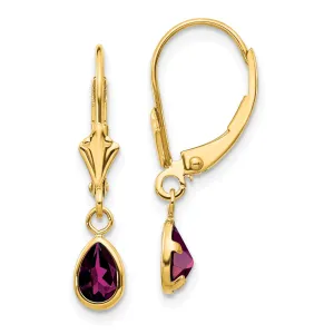 14k Yellow Gold Polished Rhodolite Garnet Earrings