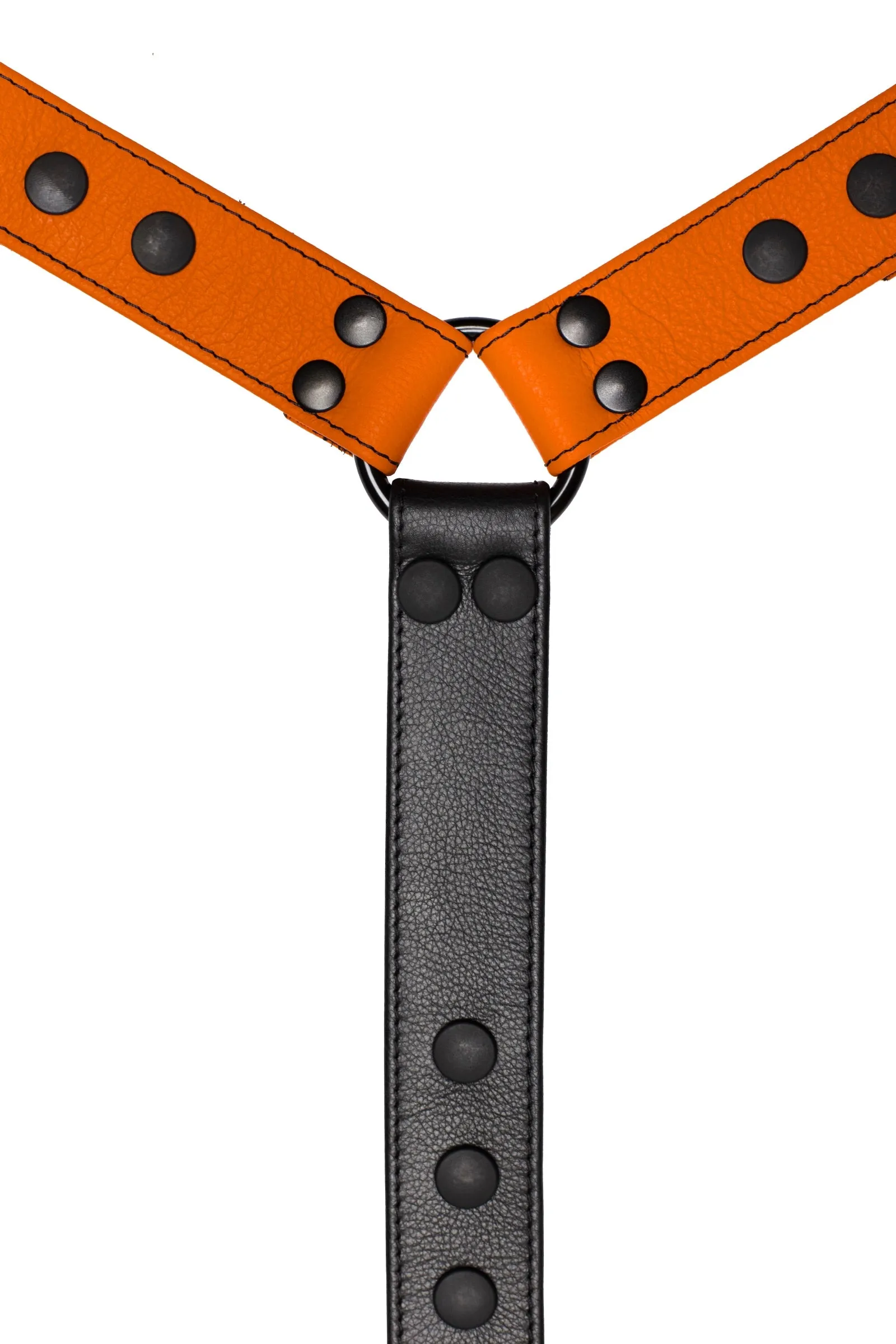 BULLDOG CONNECTOR - Colour