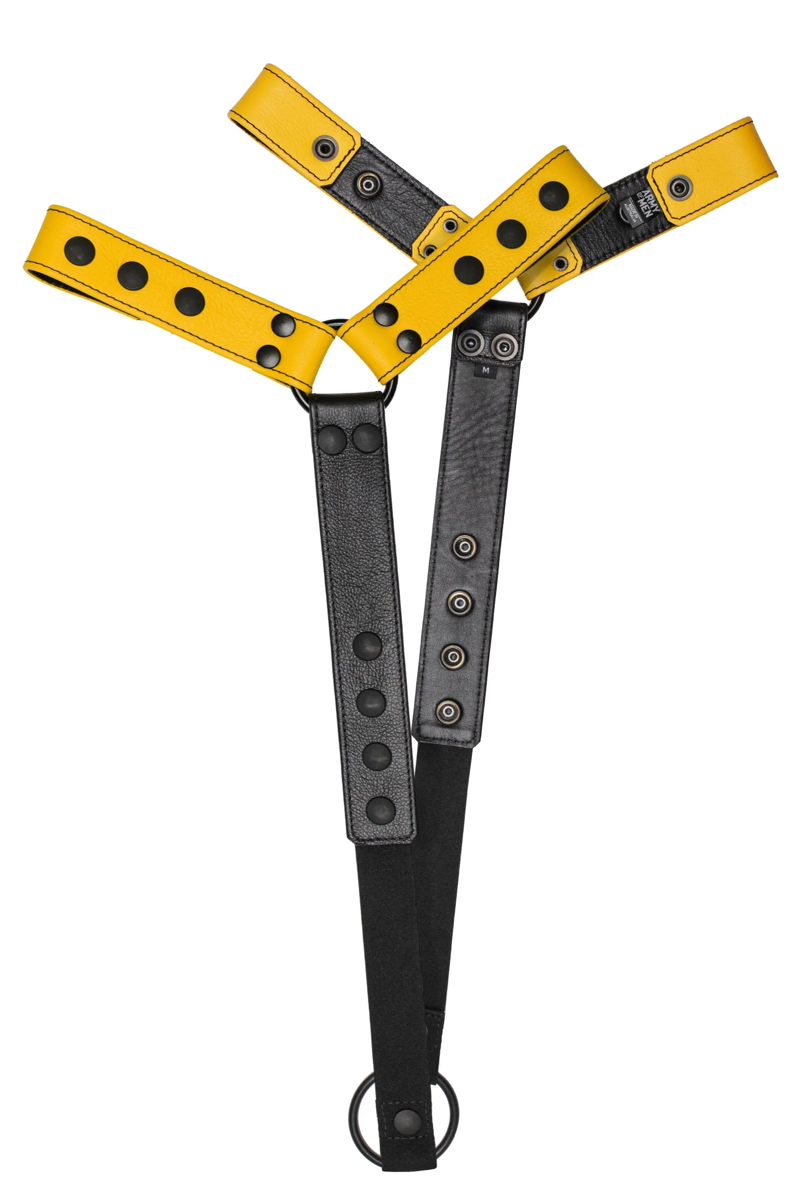 BULLDOG CONNECTOR - Colour