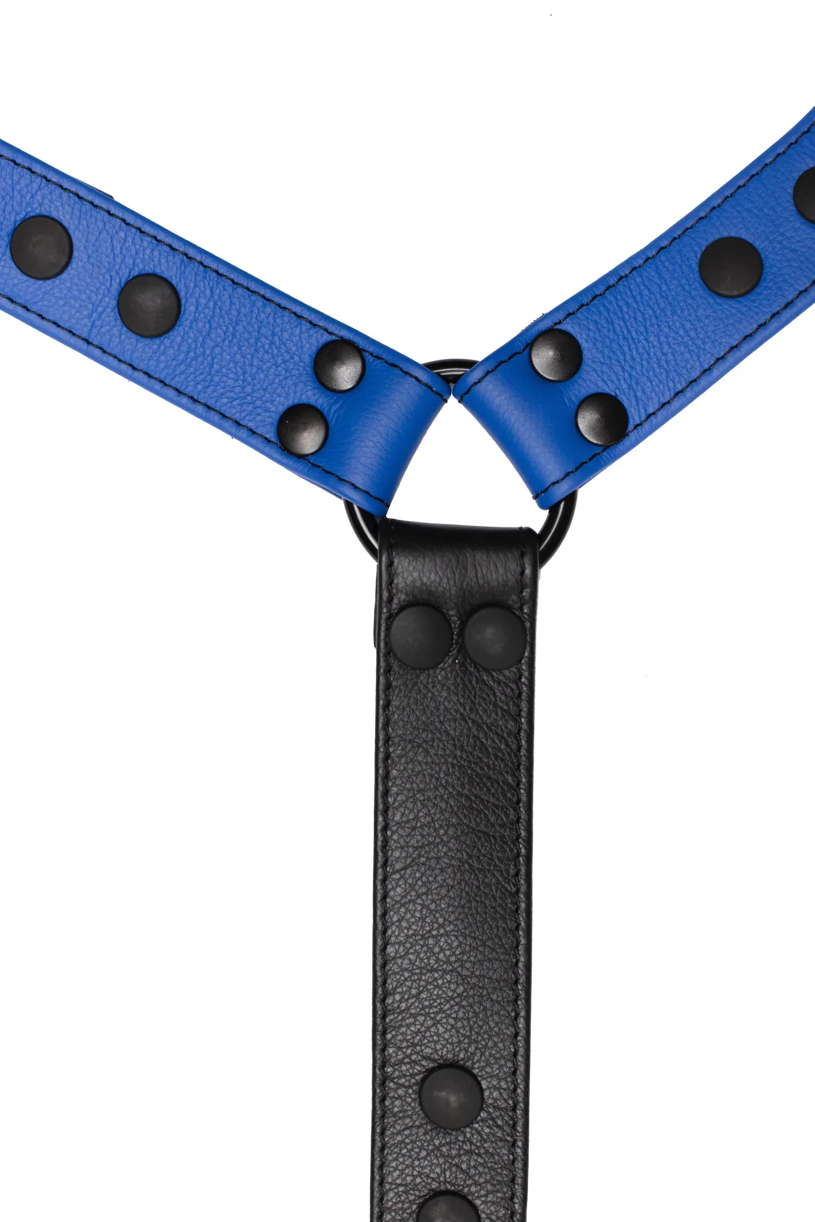 BULLDOG CONNECTOR - Colour
