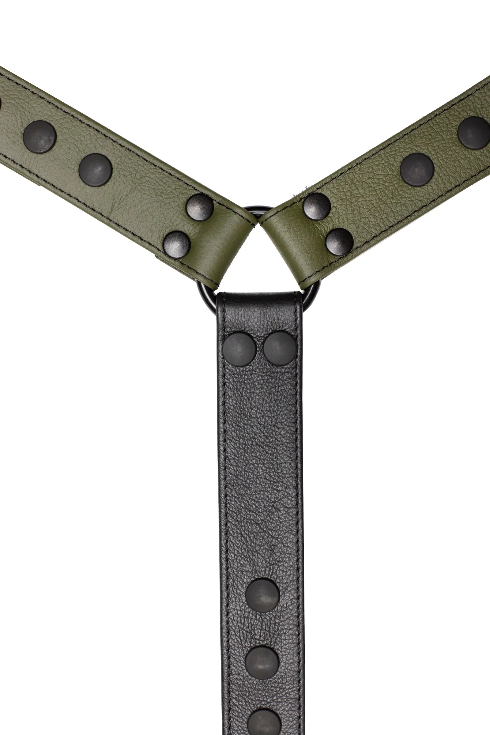 BULLDOG CONNECTOR - Colour