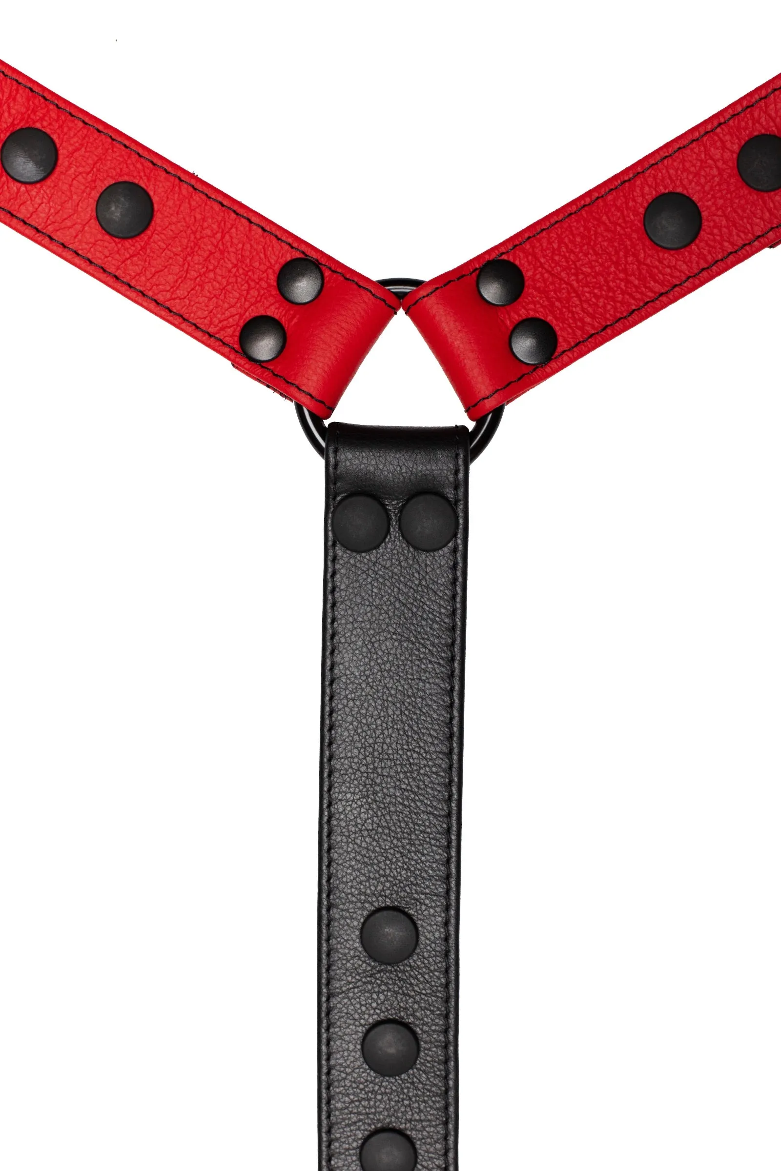 BULLDOG CONNECTOR - Colour