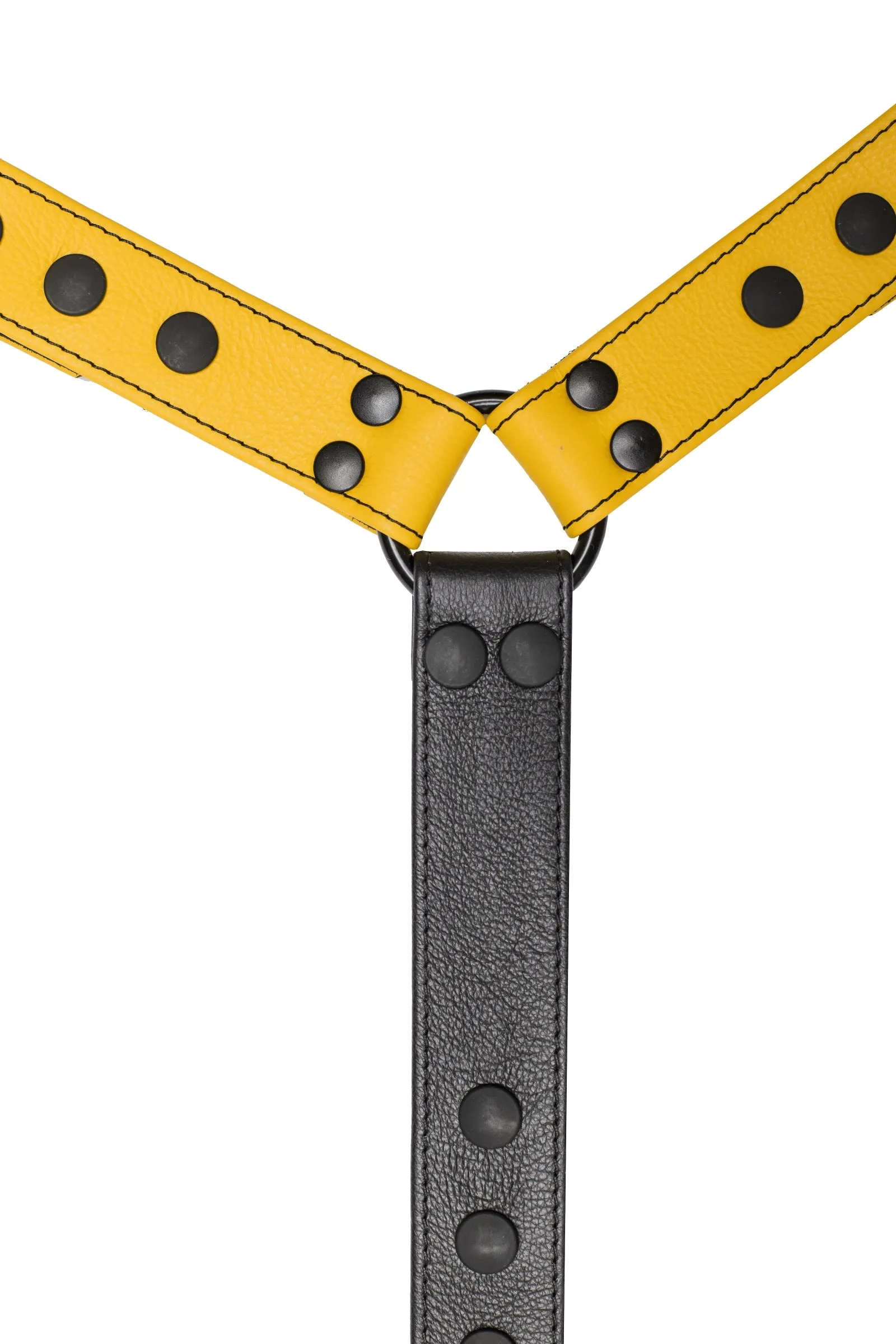 BULLDOG CONNECTOR - Colour