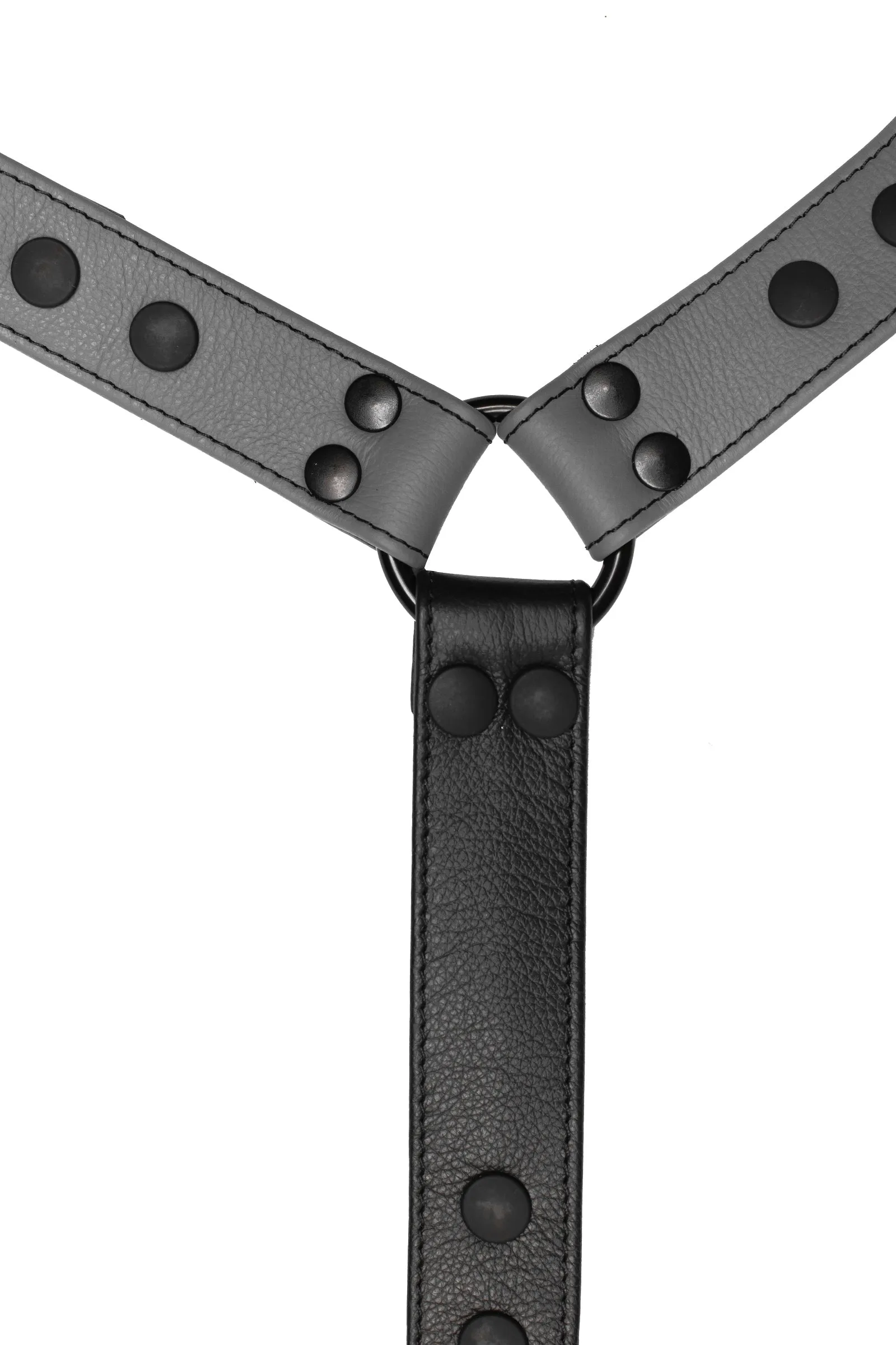 BULLDOG CONNECTOR - Colour