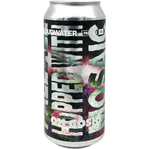 Cloudwater Oh Gosh!