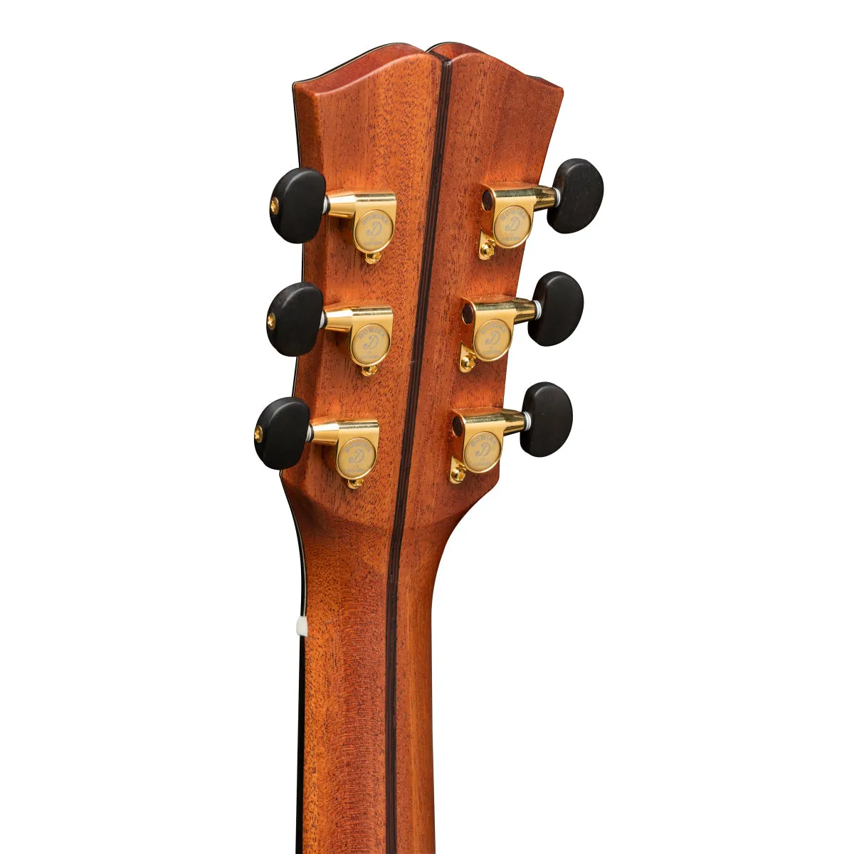 DOWINA GRAND AUDITORIUM CUTAWAY GRANADILLO GACE-S CON PRE L.R.BAGGS ANTHEM CASE