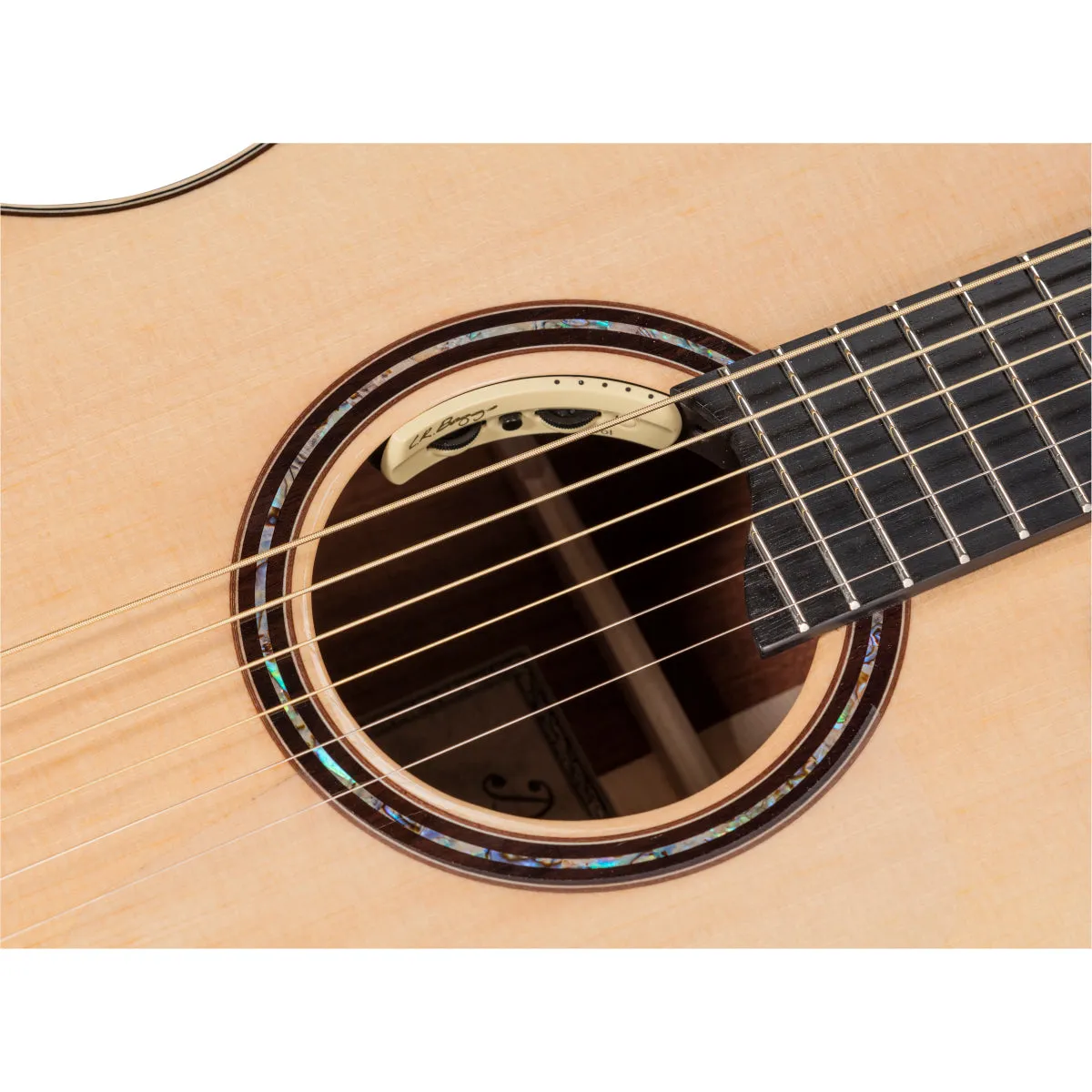 DOWINA GRAND AUDITORIUM CUTAWAY GRANADILLO GACE-S CON PRE L.R.BAGGS ANTHEM CASE