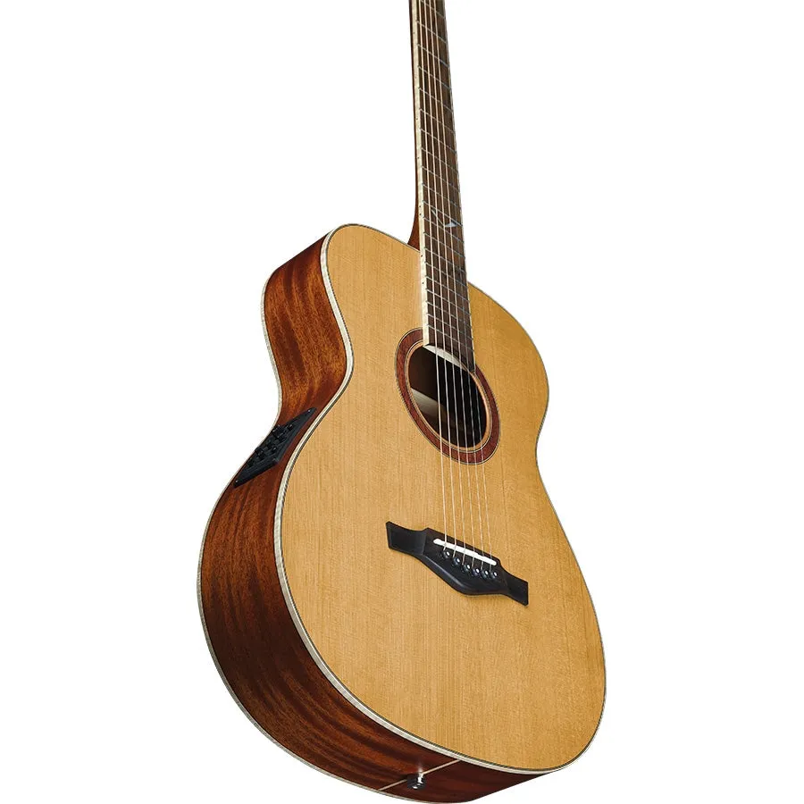 Evo A350e Baritone