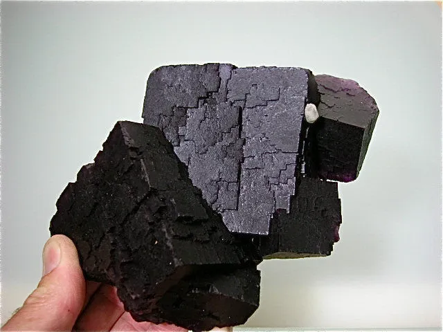 Fluorite, Hill-Ledford Mine, Ozark-Mahoning Company, Cave-in-Rock District, Southern Illinois, Mined ca. 1960s, Fowler Collection, Medium Cabinet 6.0 x 12.0 x 17.0 cm, $200. Online 7/19. SOLD.