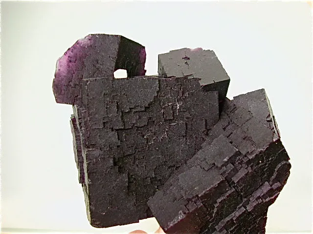 Fluorite, Hill-Ledford Mine, Ozark-Mahoning Company, Cave-in-Rock District, Southern Illinois, Mined ca. 1960s, Fowler Collection, Medium Cabinet 6.0 x 12.0 x 17.0 cm, $200. Online 7/19. SOLD.