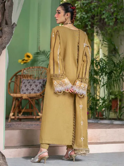 Luxury Net Skin Embroidered Pakistani Salwar Kameez Style Salwar Suit