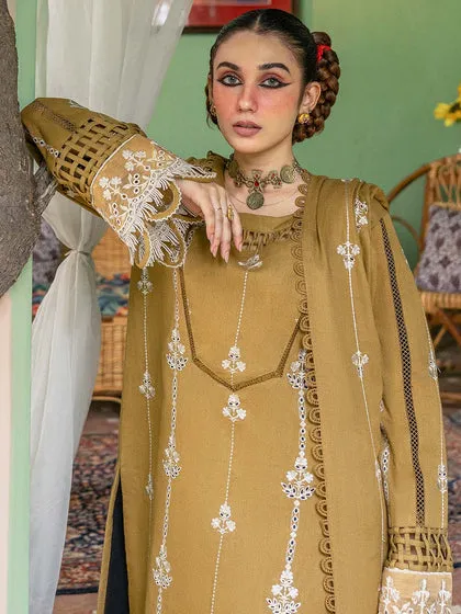 Luxury Net Skin Embroidered Pakistani Salwar Kameez Style Salwar Suit