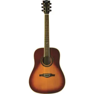 One D150 Vintage Burst
