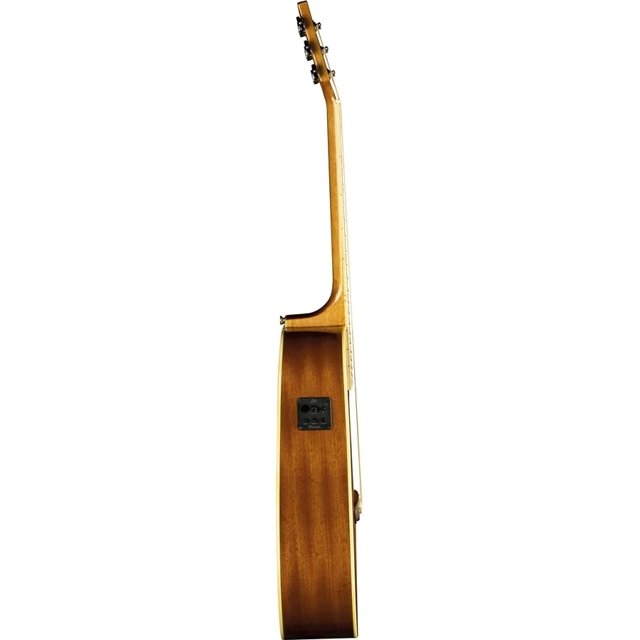 One D150e Vintage Burst