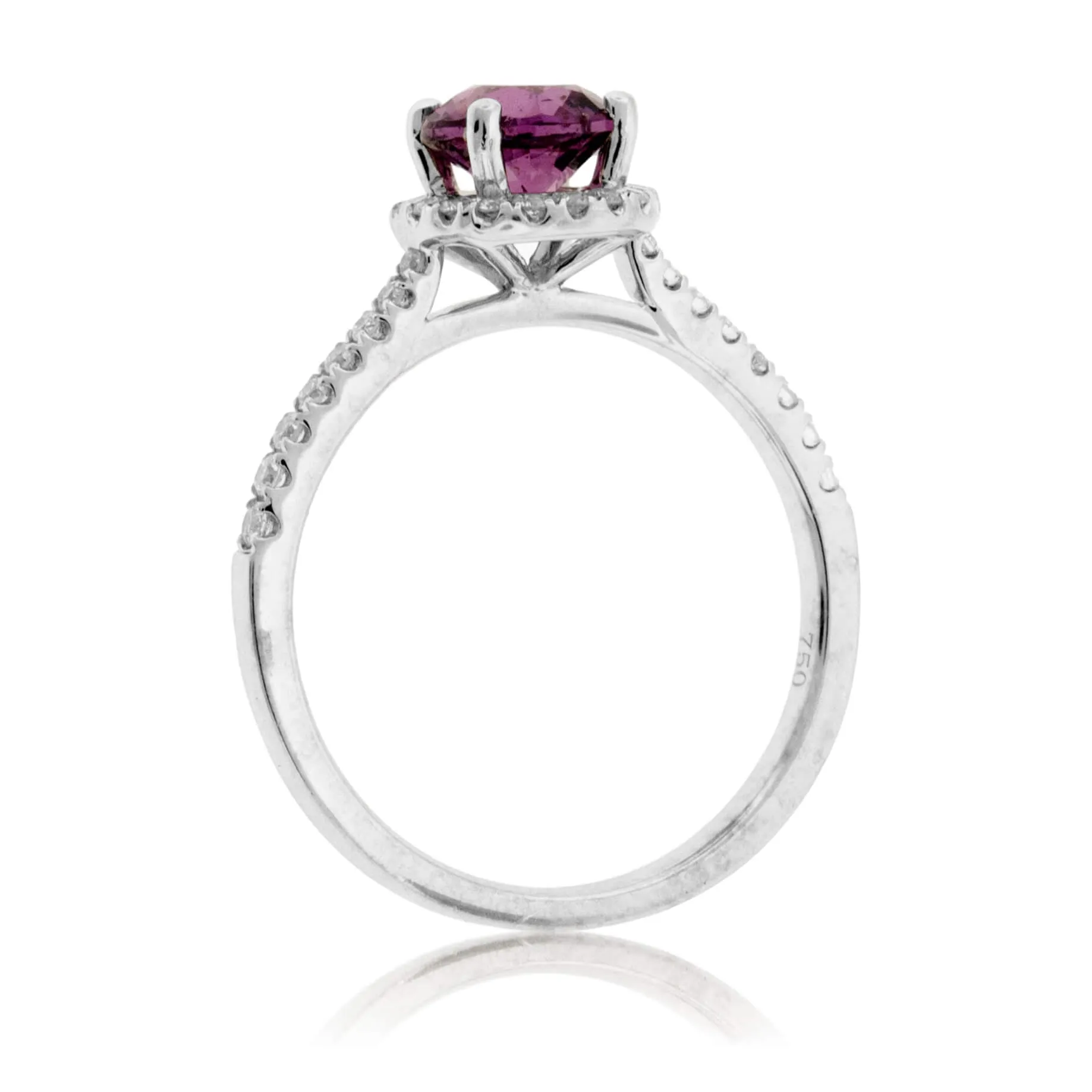 Round Garnet & Diamond Halo & Diamond Lined Shank Ring