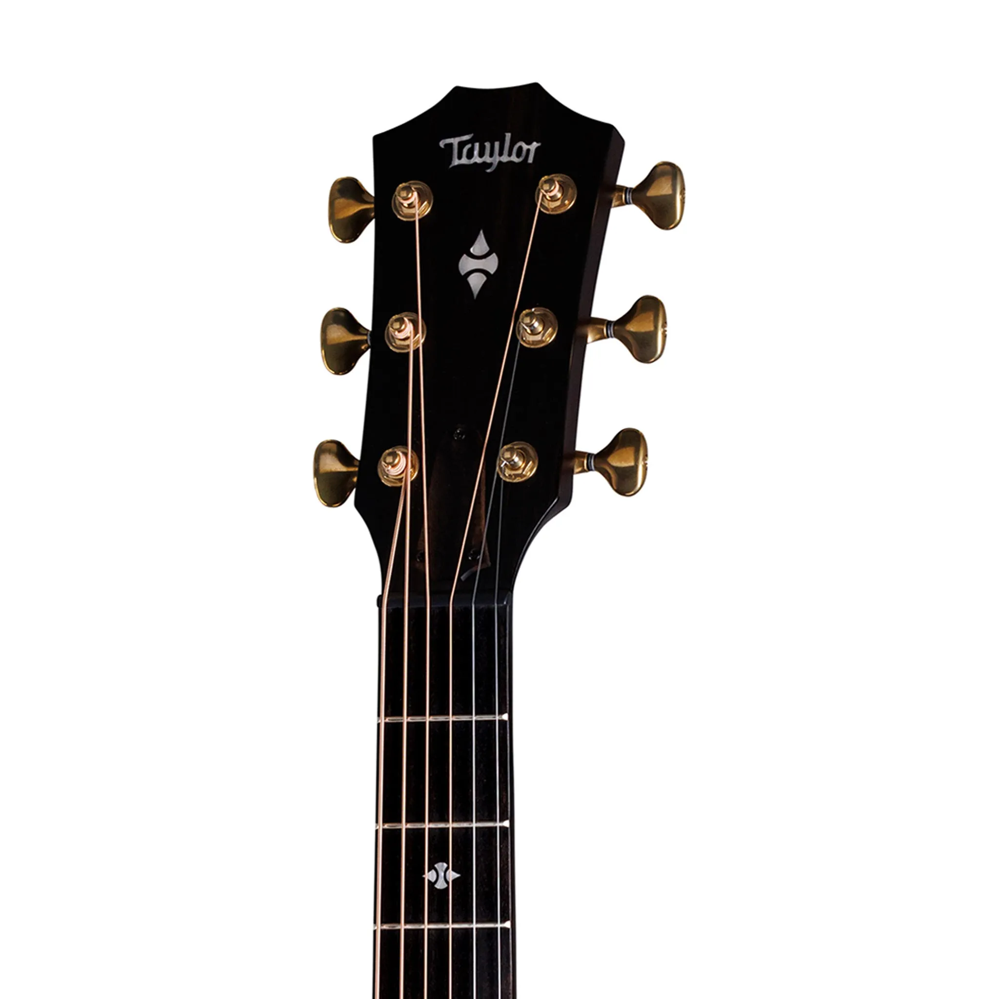 Taylor 50th Anniversary BE 314ce-LTD Ash/Sitka Grand Auditorium Acoustic Guitar, Kona Burst Top